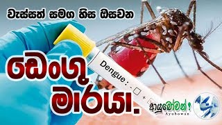 ඩෙංගු පිලිබදව දැනුවත් වන්න  | Dengue | டெங்கு |   AYUBOWAN | ආයුබෝවන් | ஆயுபோவன்