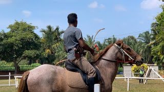 Hungarian Horseback Archery (Tower Raid Attack)