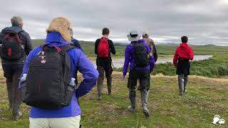 Emerald Air Service Guided Bearviewing Expedition into Katmai