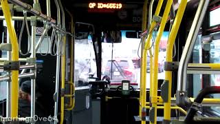 TTC Rides on Airport Orion VIIs #8003 and #8009