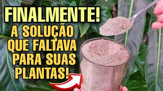 Composto de bokashi: o MELHOR fertilizante orgânico para o seu jardim e plantas - ADUBO