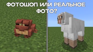 ЭТО ФОТОШОП ИЛИ РЕАЛЬНОЕ ФОТО?