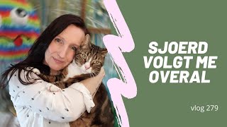 Sjoerd volgt me overal / Vlog 279