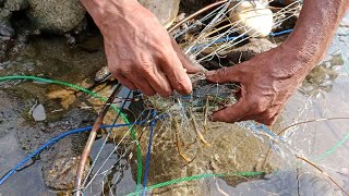 PENCARI UDANG LOBSTER DENGAN CARA ALAT SEDERHANA SUNGGUH MENAKJUBKAN