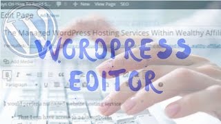 WordPress Editor In YouTube Video Training