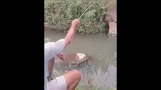 Mancing Ngakak - Terlalu Yakin / Funny Fishing Moment #Shorts