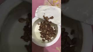 Choco Granola Yoghurt 🍫🥛 #mukbang #asmr