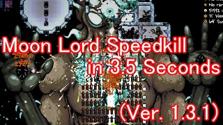 Terraria - Moon Lord Speedkill in 3.5 seconds