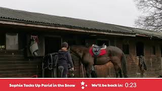 Sophie Tacks Up Parid in the Snow!