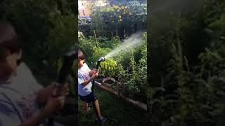 Watering the vegetables in our Garden  🍅 🌶 🎃 🌿