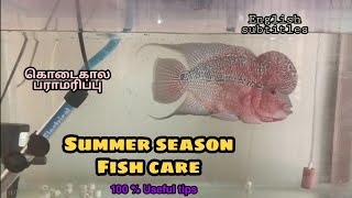 Summer season Tips for Aquarium Fishes | Covid -19 FishCare | Aquapets & Farm