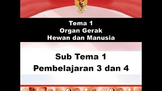 Tema 1 Subtema 1 PB 3 dan 4