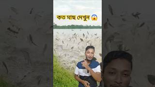 এত মাছ কখনো দেখিনি 😱 #fish #shorts #viralvideo