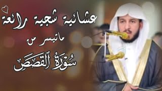 عبدالله الموسى || عشائية تأسر القلوب 🤍 ﴿فَرَددْناهُ إِلى أُمهِ كَيْ تَقَرَّ عَيْنُهَا ولا تحْزَنَ..﴾