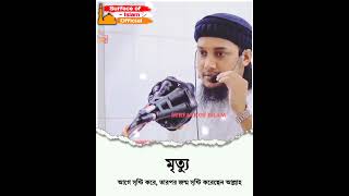 মৃত্যু আগে সৃষ্টি করে,  তারপর জন্ম সৃষ্টি করেছেন আল্লাহ। 🎙️Abu Toha Muhammad Adnan 🌺 #shorts