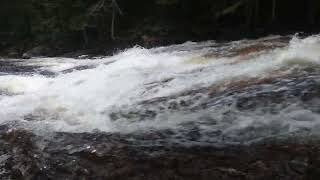 Goldmine Stream Falls - August 19, 2023