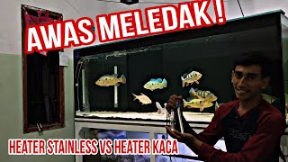 Bagus mana Heater Stainless Atau Heater Kaca || Heater Aquarium Terbaik || Tank predator