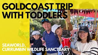 Goldcoast Trip with Toddlers - Seaworld, currumbin wild life sanctuary, novotel surfers paradise