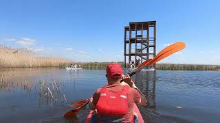 Tisza-tó: vízi kilátók Poroszlónál