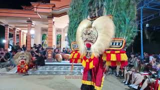 SOLAH PEMBARONG DADAK MERAK TERBESAR REOG PONOROGO KEREN #dadakmerak #reogponorogo