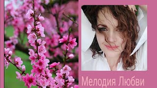 Мелодия Любви #моистихи