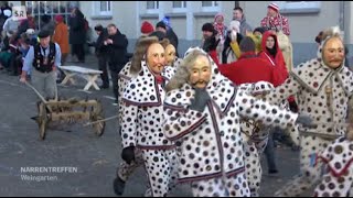 Narrenverein Fridingen beim Narrentreffen in Weingarten 2024