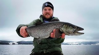 Storørret fiske i Mjøsa fra land i januar!