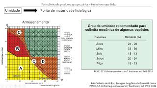 Secagem e armazenamento dos grãos