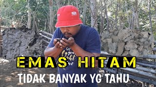 INILAH EMAS HITAM YANG TIDAK BANYAK DIKETAHUI ORANG