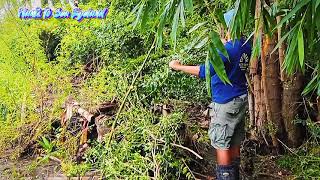 Cleaning our Farm @plantstoseaeyeland49