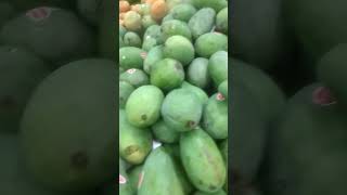 JUAL MANGGA HARUM MANIS , MANGGA NYA BESAR BESAR , HARGANYA MURAH BANGET.