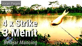 Belajar Mancing 4 kali Strike di 3 Menit Pertama Clom Giriwil