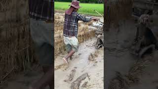 Small plow tractor ||shorts#youtubeshorts