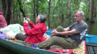 Floating Forest And Floating Houses in Tonle Sap lake Cambodia