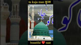 tu kuja man kuja tu kuja man kuja naat Sharif