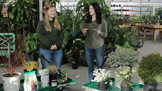 Ch2 Seed & Garden - Plants For Gardening Beginners