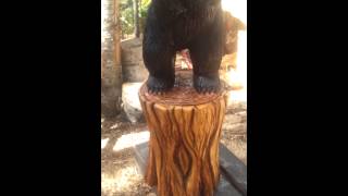 Life like 100 % chainsaw carved bear.