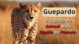 Guepardo: O Segredo do Animal Mais Rápido do Planeta!