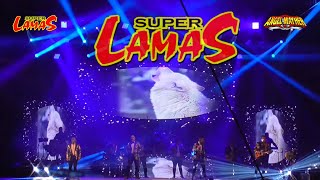 🇲🇽 👑EL REY DEL MUNDO👑 🐺LOBO SOLITARIO 🐺SUPER LAMAS CON SU ESCENARIO 🇲🇽