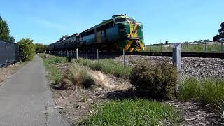 Steamranger loco 958 on highlander 11/11/18