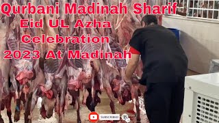 Qurbani Madinah Sharif Mein | Eid UL Azha Celebration 2023 At Madinah