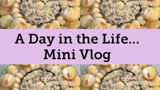 Mini Vlog/A Day in the Life of Your Goal Digger Anti/ Another Day Another Blessings