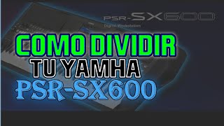 Aprende a dividir tu Yamaha Psr-sx600 en simples pasos | Tienda de ritmos y samples Avofc