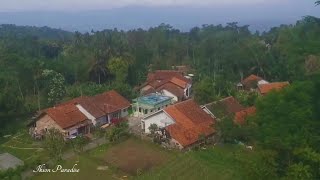 CILIBUR DILIHAT DARI ATAS DRONE | BELAJAR MENERBANGKAN DRONE DJI TELLO