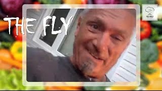 THE FLY WITH LARRY CAPUTO: Big Meals, Small Places