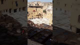 fes tannereys old city fez Morocco