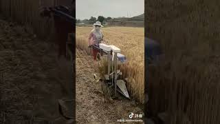 Interesting idea to video. Follow me please