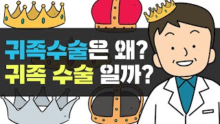 귀족수술은 왜 이름이 귀족 수술 일까요? [얼굴 밋밋해서 불만인분들 보세요]