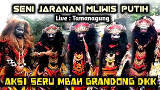 Mbah Grandong Ngratu Sak Ndadine - Jaranan Mliwis Putih live Tamanagung