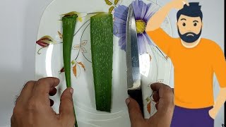 ASMR.. Fresh Aloe Vera Cutting.. 1st time Cutting Aloe Vera Gel & Rubbing on Hand.🌿 So Satisfying